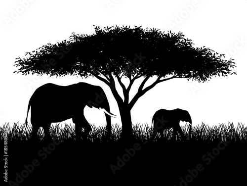 Vector-style silhouette scene of African savanna, large elephant on the left, smaller elephant on the right, both beneath a dense tree canopy, tall grass suggested with jagged lines, high-contrast bla