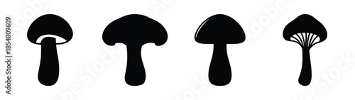 Empty vector file display