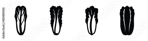 Empty vector file display