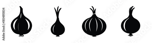 Empty vector file interface