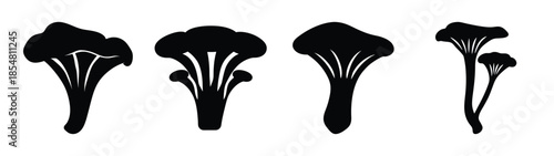 Simple vector file illustration