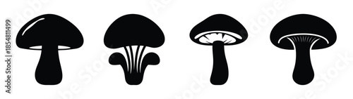 Empty vector file display