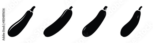 Empty vector file display