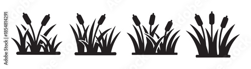 Cattails and reeds marsh plants growing in wetland areas, presented as a collection of black silhouette icons featuring tall leaves and distinctive seed heads.