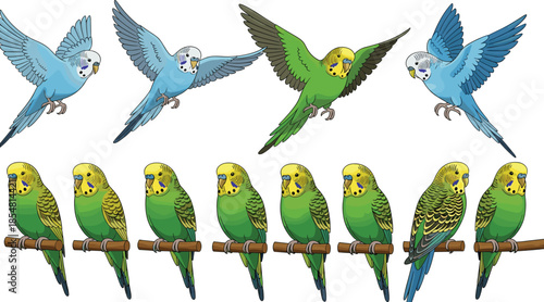 Colorful budgerigar parrots in flight and perched, vibrant parakeet vector illustration, exotic tropical birds artwork, detailed feathers, nature wildlife design