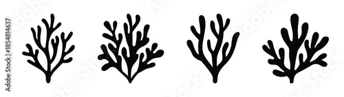 Empty vector file display