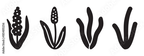 Four stylized black botanical plant illustrations feature various simple shapes, depicting abstract floral and leafy designs suitable for graphic projects.