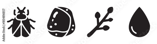 Four simple nature icons representing a beetle, a seed pod, a budding branch, and a single water drop, illustrating basic biological and environmental elements.