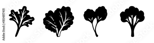 Four different leaf silhouettes
