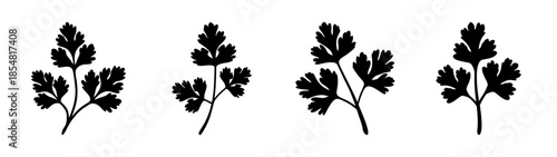 Silhouette of four leaves