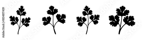 Silhouette of four leafy plants