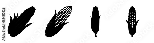Silhouettes of corn