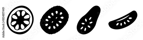 Illustrations of various seed cross-sections