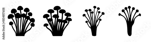 Illustrations of various mushroom types