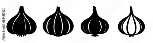 Four garlic bulbs illustration