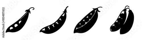 Illustrations of various bean pods
