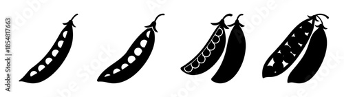 Illustration of various pea pods