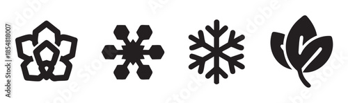 Nature and weather icons collection featuring a flower, two different snowflakes, and a pair of leaves, symbolizing various seasons and natural elements.