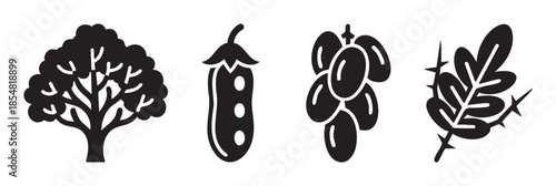 Various nature plant food icons set representing organic agriculture, healthy eating, and natural growth in a simple graphic style.