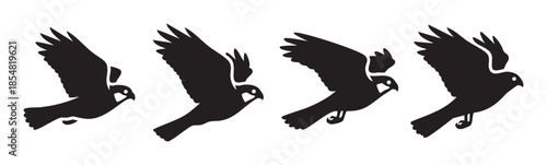 Flying bird silhouettes in various stages of motion, depicting graceful movement and freedom, perfect for wildlife and nature-themed designs.