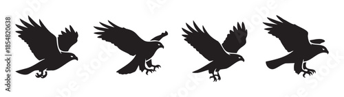 Four black eagle hawk bird silhouettes are depicted in various dynamic flying and landing poses, showcasing their powerful wings and sharp talons.