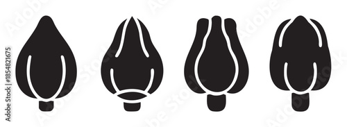 Four black silhouette flower bud icons arranged horizontally, illustrating various stylized shapes and forms of botanical development.