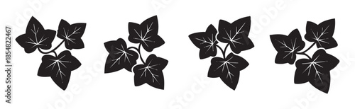 Ivy leaves vector illustration in a decorative black silhouette style with detailed white veins, perfect for nature-inspired designs and patterns.