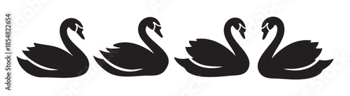 Four elegant black swans swimming gracefully in a row, with the two central birds forming a beautiful heart shape with their necks.