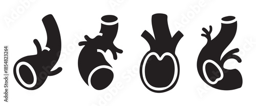 Human anatomical organs represented as a set of four stylized black silhouette icons illustrating various internal body structures and vessels.