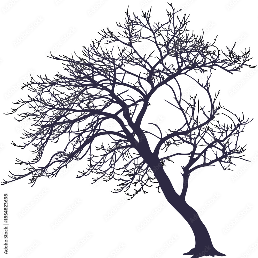 Fototapeta premium crabapple japanese silhouette vector