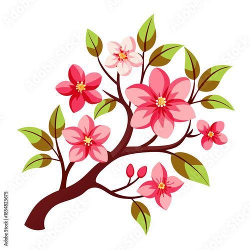 crabapple japanese flower vector on white background