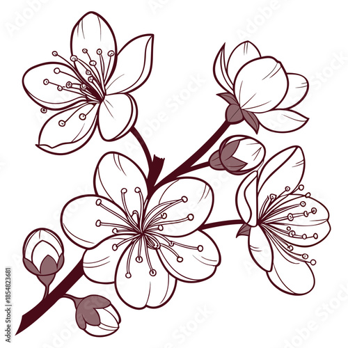 crabapple japanese line art on white
