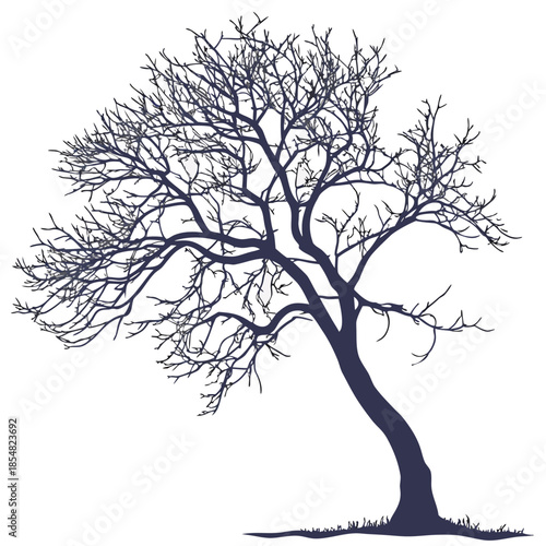 crabapple japanese silhouette on white background