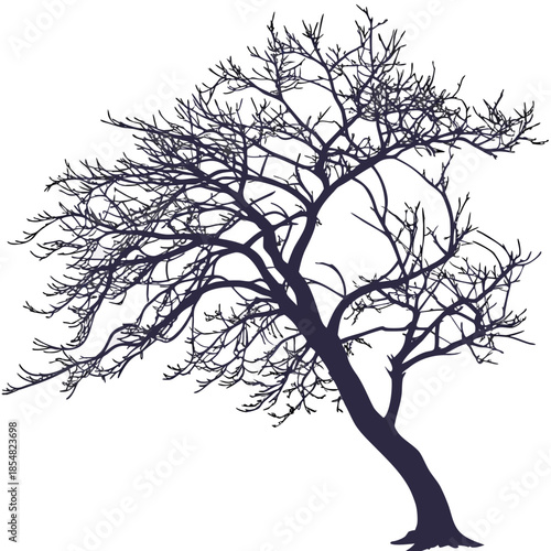 crabapple japanese silhouette vector