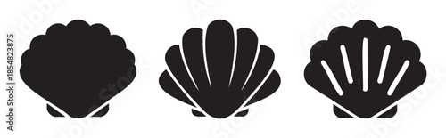 Three black scallop shell icons in different styles representing marine life and ocean themes, perfect for summer, beach, and aquatic designs.