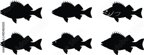 Set of Minimalist black perch fish with spiny fin silhouette vector icon