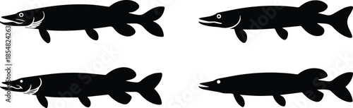 Set of Minimalist black pike fish with long slender head silhouette vector icon