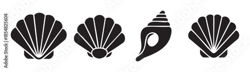 Seashells ocean beach marine mollusk collection vector icons representing various types of beautiful shells found along the coast, perfect for summer designs and nautical themes.