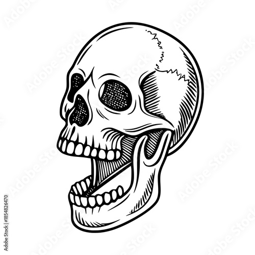 Human skull illustration with detailed line art tattoo style gothic anatomy.