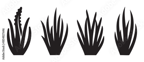 Stylized black grass and plant silhouettes create a natural design element for various graphic projects and botanical illustrations.