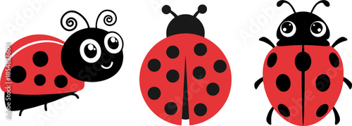 Collection of Cute Ladybug Insects with Red and Black Spots