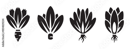 Stylized root vegetables and leafy greens icons illustrate a collection of fresh produce, symbolizing healthy eating and organic farming.