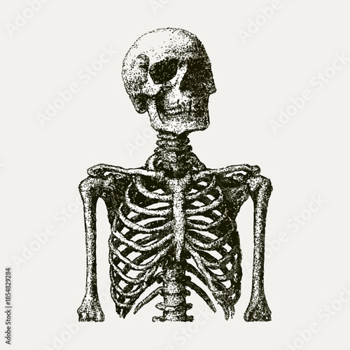 Skeleton Collage with Vintage Stipple Texture – Grunge Psychedelic Tattoo Art in 90s Aesthetic