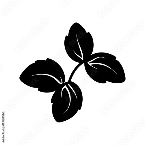 Three leaves on a stem