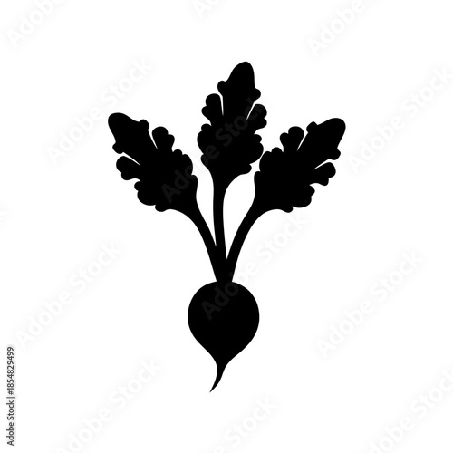 Silhouette of a radish