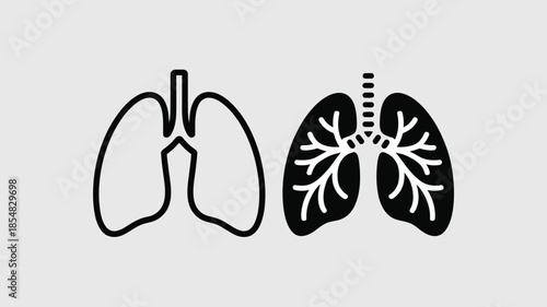 Simple black and white illustration of human lungs anatomy.