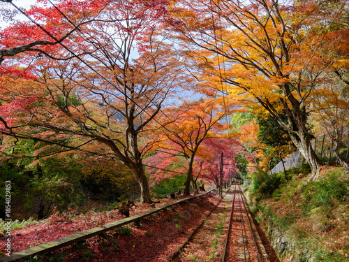 秋の京都 比叡山の紅葉 叡山ケーブルカーの車窓