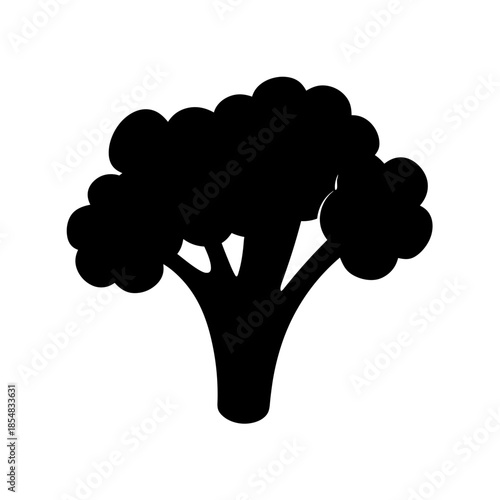 Silhouette of broccoli