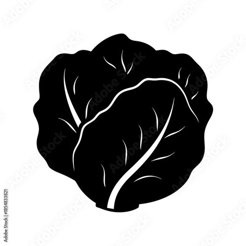 Silhouette of a cabbage