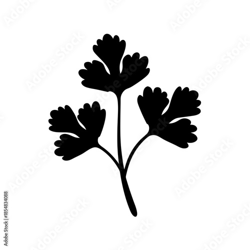 Silhouette of parsley leaves